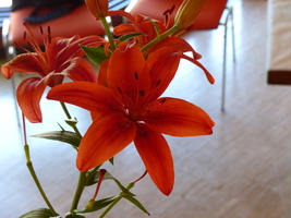 Foto: Dr. Peter Müller